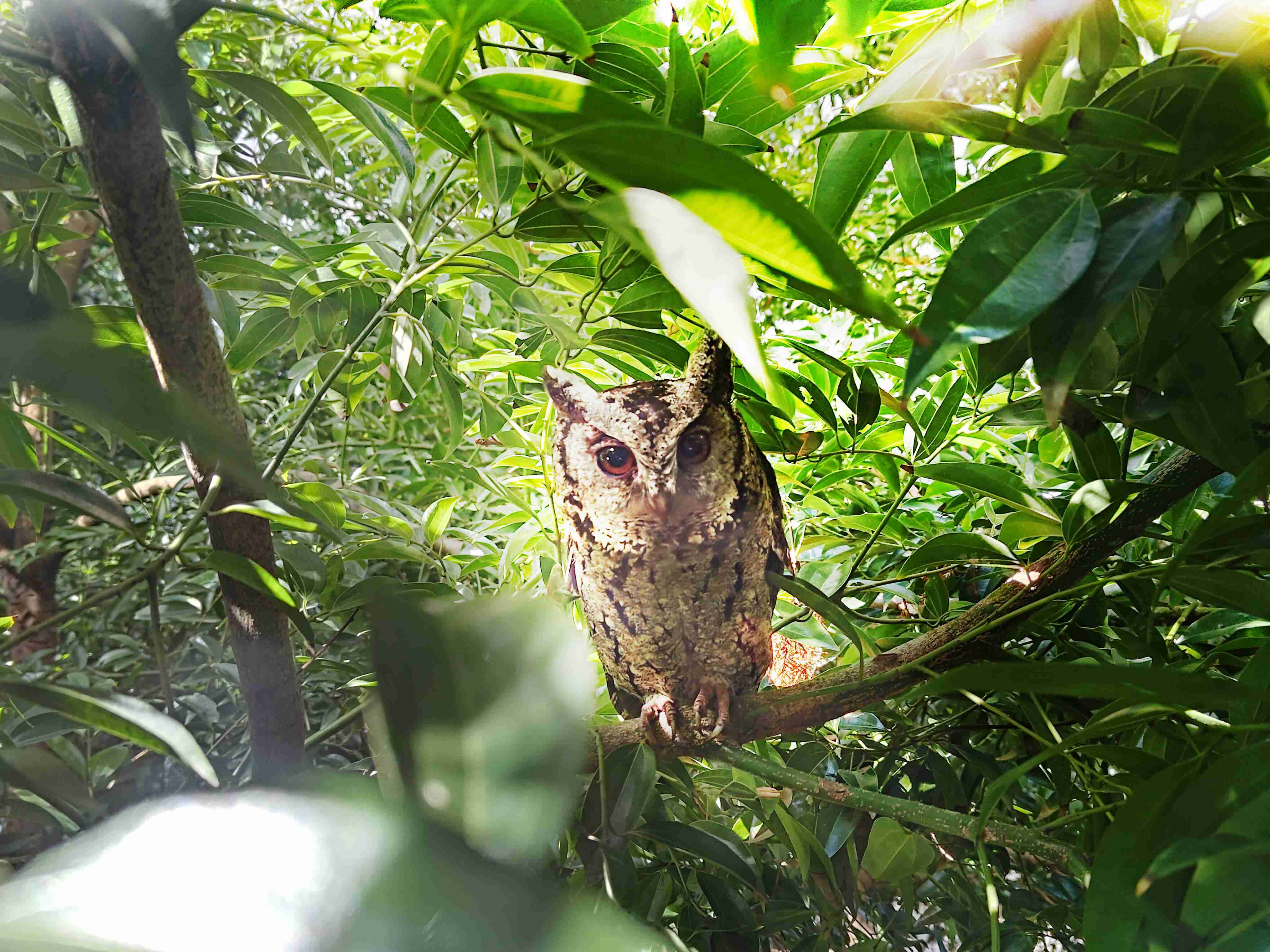 尊时凯龙致力提倡净零绿生活，，，，16年以来在全球各厂区植树逾百万棵，，，造就各厂区树木蔚然成林，，，，犹如森林工厂，，成为许多生物的栖息地